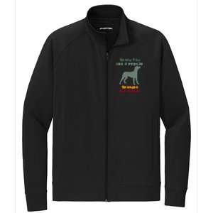 Grand Paw Like A Regular Grandpa But Cooler For Grandpa Funny Gift Stretch Full-Zip Cadet Jacket