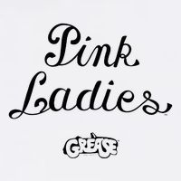 Grease P.I.N.K Ladies Women's V-Neck T-Shirt