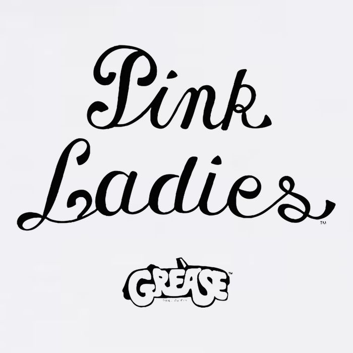 Grease P.I.N.K Ladies Women's V-Neck T-Shirt