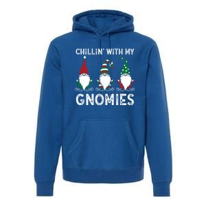 Gardening Plants Lover Gardener Chillin With My Gnomies Gift Premium Hoodie