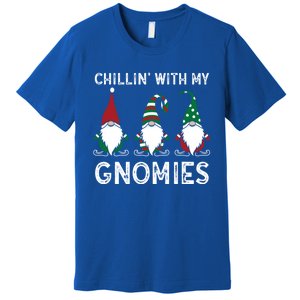 Gardening Plants Lover Gardener Chillin With My Gnomies Gift Premium T-Shirt