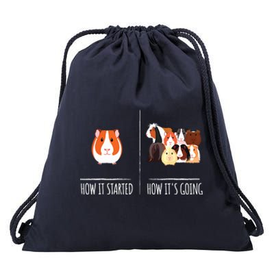 Guinea Pig Lovers Shirts Meme Pun Funny Pet Guinea Pig Drawstring Bag