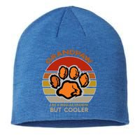 Grand Paw Like A Regular Grandpa But Cooler Funny Dog Lovers Gift Sustainable Beanie