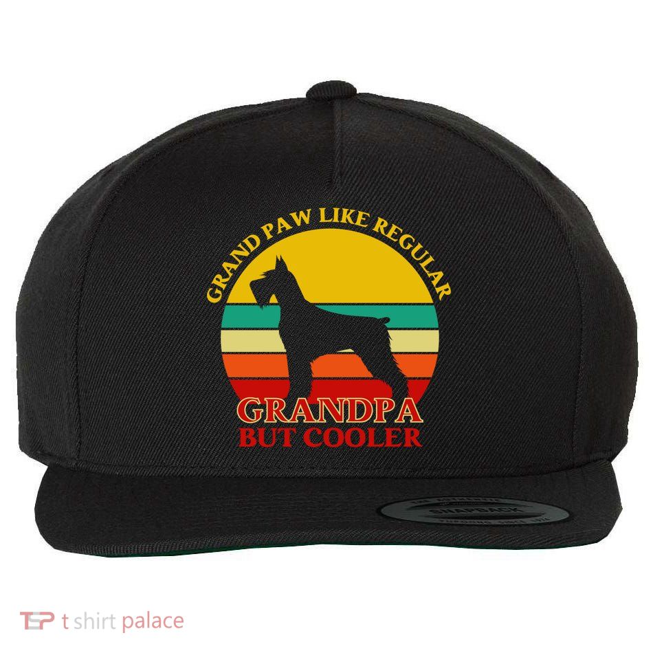 Grand Paw Like A Regular Grandpa But Cooler Funny Gift Father Day Gift Wool Snapback Cap
