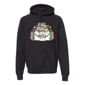 Gnomes Pride Month LGBTQ Premium Hoodie