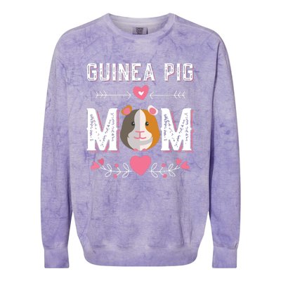 Guinea Pig Mom Shirts Costume Gift Clothing Accessories Colorblast Crewneck Sweatshirt