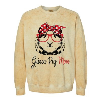 Guinea Pig Mom Colorblast Crewneck Sweatshirt