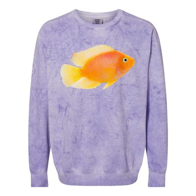 GoldFish Pet Novel Design For Aquarium Nature Lover Colorblast Crewneck Sweatshirt