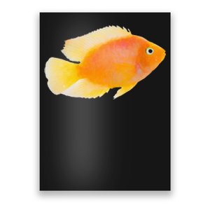 GoldFish Pet Novel Design For Aquarium Nature Lover Poster