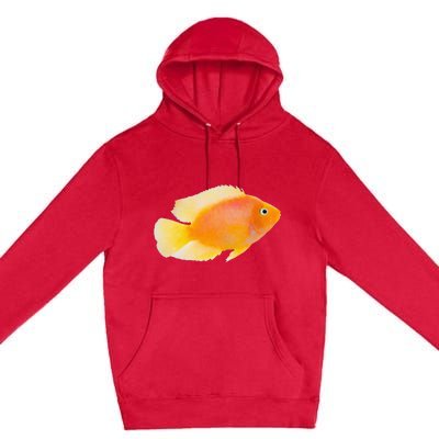 GoldFish Pet Novel Design For Aquarium Nature Lover Premium Pullover Hoodie