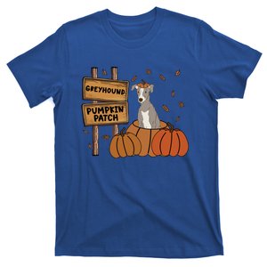 Greyhound Pumpkin Patch Dog Lovers Thanksgiving Halloween Gift T-Shirt