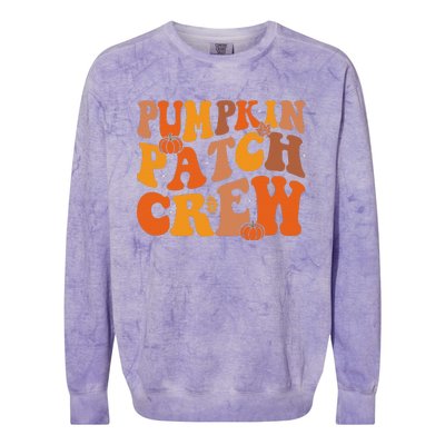 Groovy Pumpkin Patch Crew Squad Thanksgiving Fall Autumn Colorblast Crewneck Sweatshirt