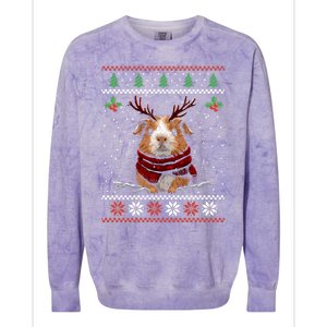 Guinea Pig Reindeer Christmas Xmas Swea Colorblast Crewneck Sweatshirt