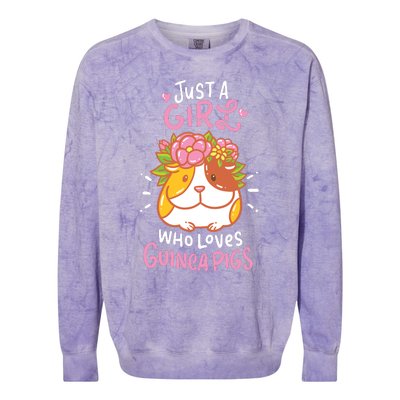 Guinea Pig Rodent Pet Colorblast Crewneck Sweatshirt