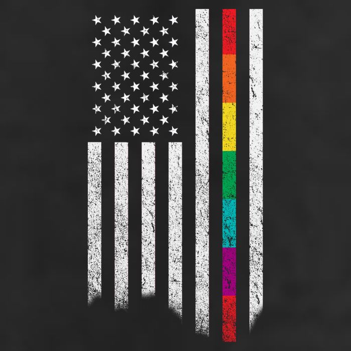 Thin Line Rainbow American Flag 7 Panel Mesh Trucker Snapback Hat