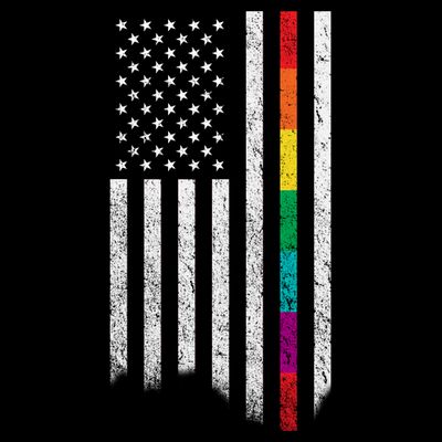 Thin Line Rainbow American Flag T-Shirt