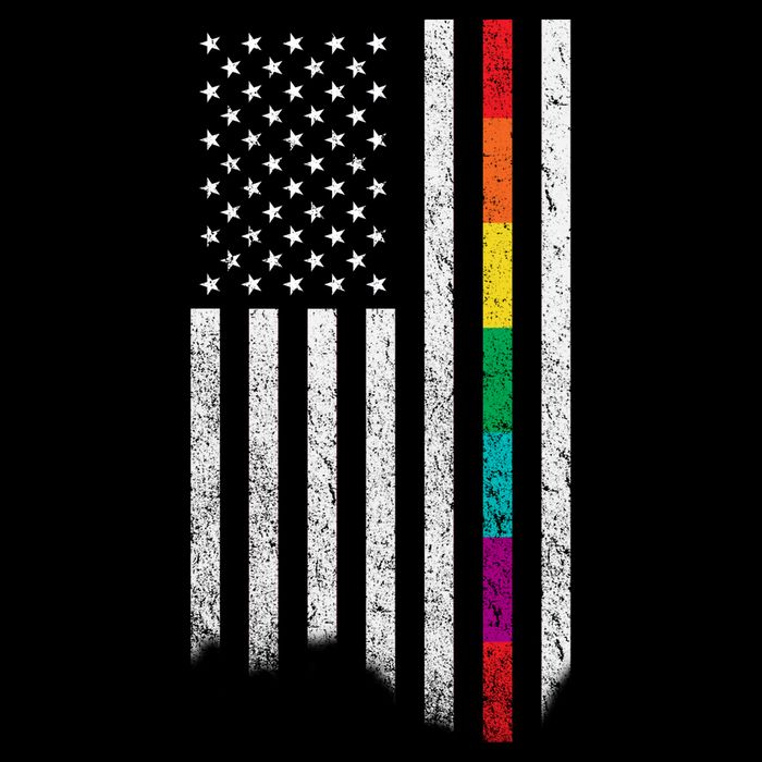 Thin Line Rainbow American Flag 16 in Basic Backpack