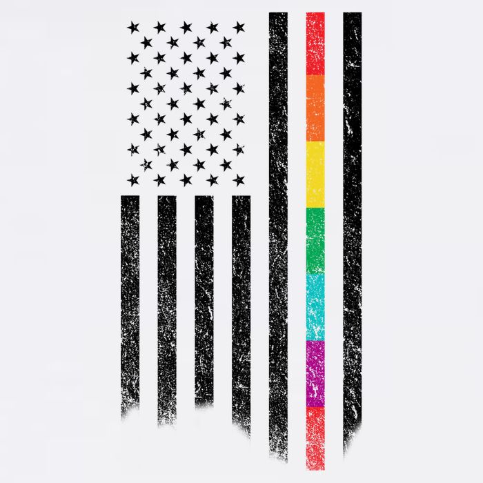 Thin Line Rainbow American Flag Garment-Dyed Sweatshirt