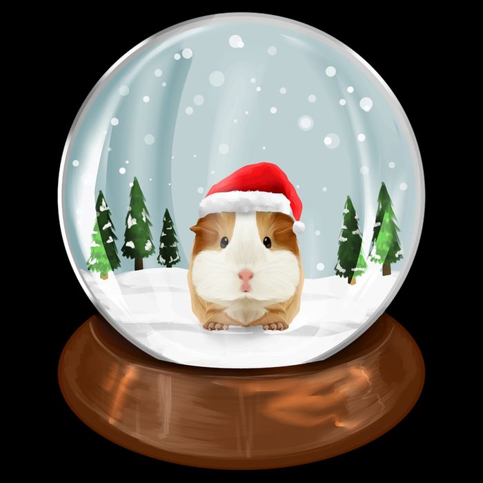 Guinea Pig Snow Globe Xmas Pjs Outfit Funny Christmas Long Sleeve Cooling Performance Long Sleeve Crew