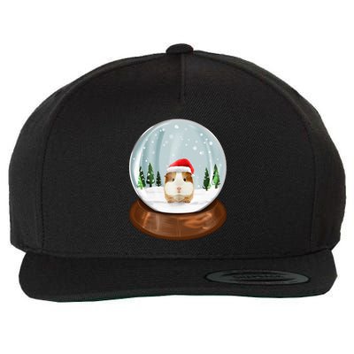 Guinea Pig Snow Globe Xmas Pjs Outfit Funny Christmas Long Sleeve Wool Snapback Cap