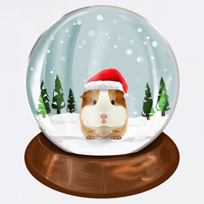 Guinea Pig Snow Globe Xmas Pjs Outfit Funny Christmas Long Sleeve Garment-Dyed Sweatshirt
