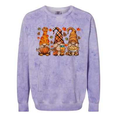 Gnomes Pumpkin Spice Coffee Latte Fall Autumn Thanksgiving Colorblast Crewneck Sweatshirt