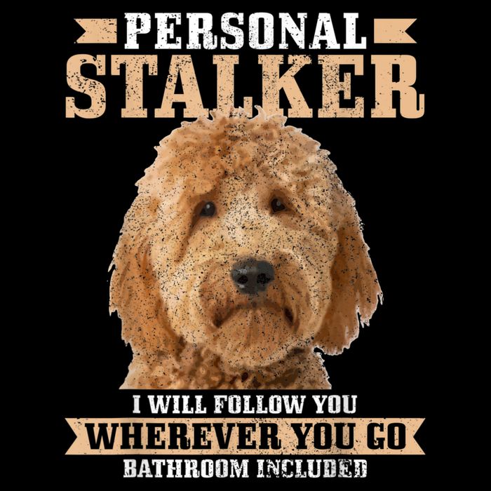 Goldendoodle Personal Stalker Funny Golden Doodle Mom Cooling Performance Crew T-Shirt