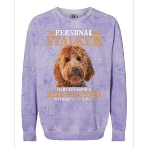 Goldendoodle Personal Stalker Funny Golden Doodle Mom Colorblast Crewneck Sweatshirt