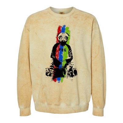 Good Pug Sitting Art Colorblast Crewneck Sweatshirt