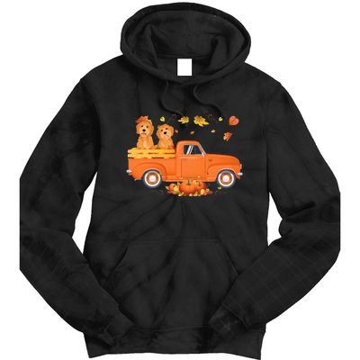 Goldendoodle Pumpkin Truck Fall Leaf Thanksgiving Halloween Tie Dye Hoodie