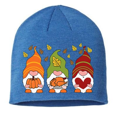 Gnomes Pumpkin Turkey Thanksgiving Day Cute Fall Autumn Sustainable Beanie