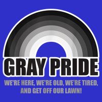 Gray Pride We're Here We're Old And Get Off Our Lawn Long Sleeve Shirt