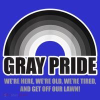 Gray Pride We're Here We're Old And Get Off Our Lawn Visor