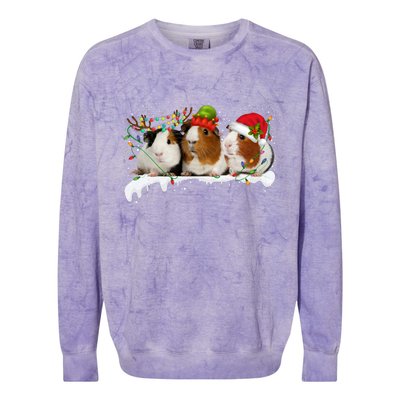 Guinea Pigs With Christmas Lights And Santa Hat Cute Xmas Colorblast Crewneck Sweatshirt