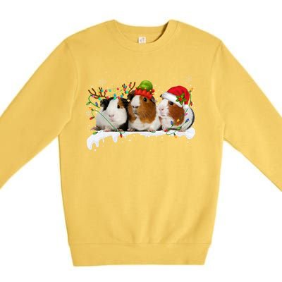 Guinea Pigs With Christmas Lights And Santa Hat Cute Xmas Premium Crewneck Sweatshirt