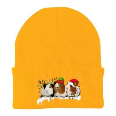 Guinea Pigs With Christmas Lights And Santa Hat Cute Xmas Knit Cap Winter Beanie