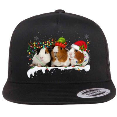 Guinea Pigs With Christmas Lights And Santa Hat Cute Xmas Flat Bill Trucker Hat