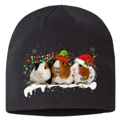 Guinea Pigs With Christmas Lights And Santa Hat Cute Xmas Sustainable Beanie