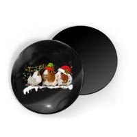 Guinea Pigs With Christmas Lights And Santa Hat Cute Xmas Magnet