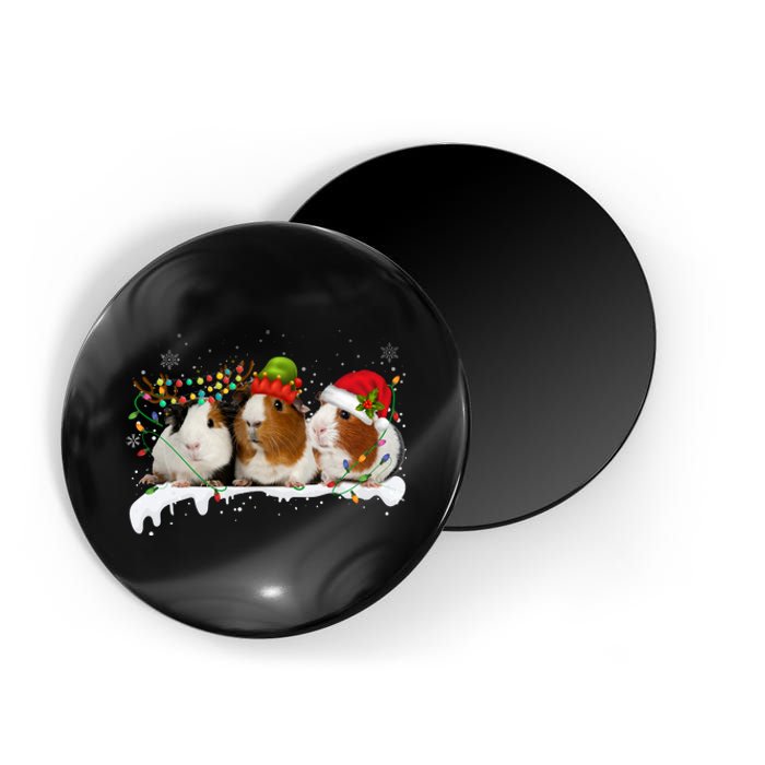 Guinea Pigs With Christmas Lights And Santa Hat Cute Xmas Magnet