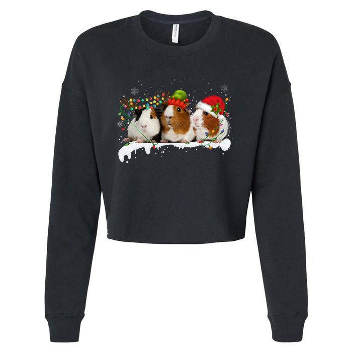 Guinea Pigs With Christmas Lights And Santa Hat Cute Xmas Cropped Pullover Crew