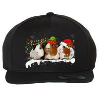 Guinea Pigs With Christmas Lights And Santa Hat Cute Xmas Wool Snapback Cap