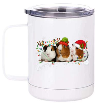 Guinea Pigs With Christmas Lights And Santa Hat Cute Xmas 12 oz Stainless Steel Tumbler Cup