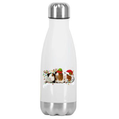 Guinea Pigs With Christmas Lights And Santa Hat Cute Xmas Stainless Steel Insulated Water Bottle