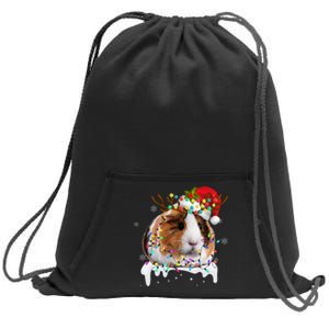 Guinea Pig With Christmas Lights And Santa Hat Xmas Animal Sweatshirt Cinch Pack Bag