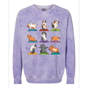 Guinea Pig Yoga Position Workout Gift Colorblast Crewneck Sweatshirt