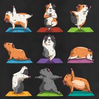 Guinea Pig Yoga Position Workout Gift 11oz C Handle Ceramic Mug