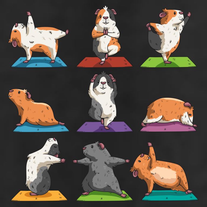 Guinea Pig Yoga Position Workout Gift 11oz C Handle Ceramic Mug