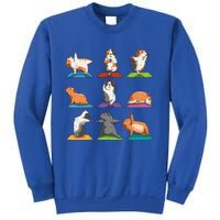 Guinea Pig Yoga Position Workout Gift Sweatshirt