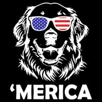 Golden Retriever 4th Of July Merica Pom Pom 12in Knit Beanie